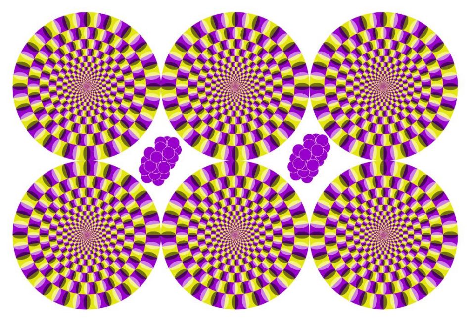 300000795050129490424114140_950.jpg